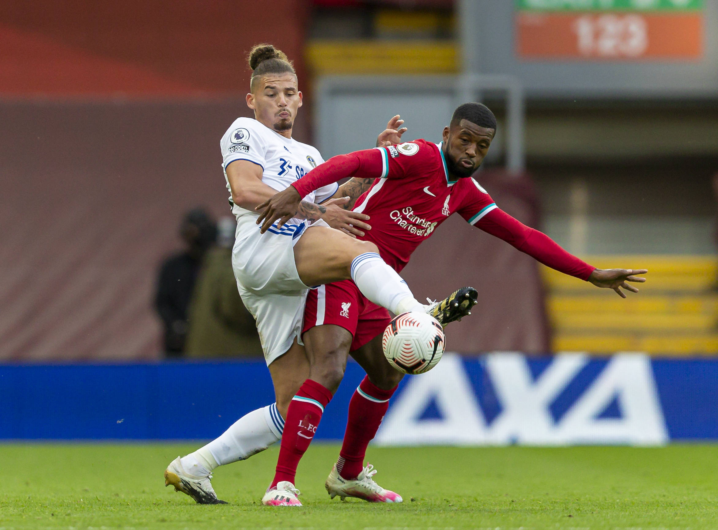 騎士堅實的 騎士堅實的